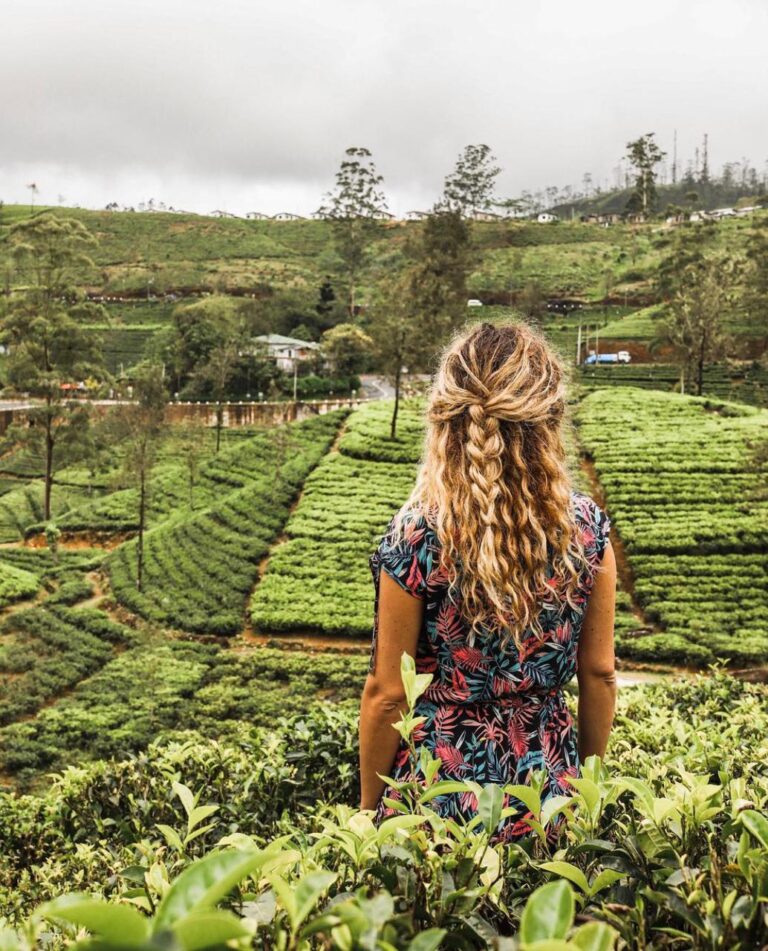 Tea Plantations and Hill Country Escapes in Sri Lanka